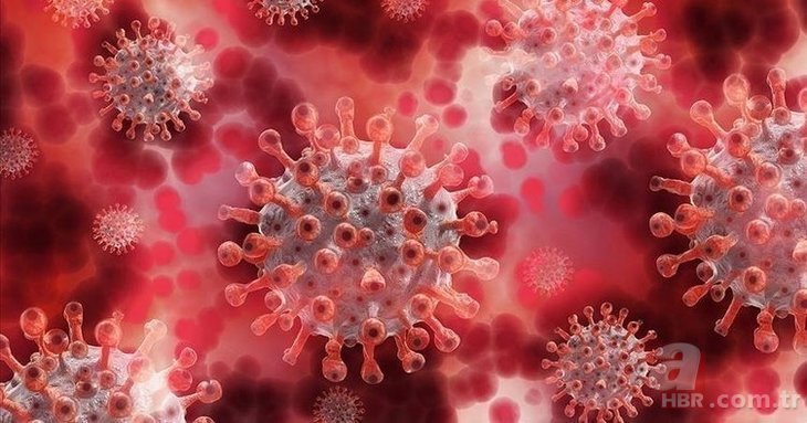 Koronavirüsün ortaya çıkışıyla ilgili şoke eden belge! Yeni rapor üst düzey isimlere sunuldu